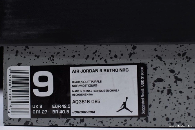 Jordan Retro AQ3816-065 Raptors